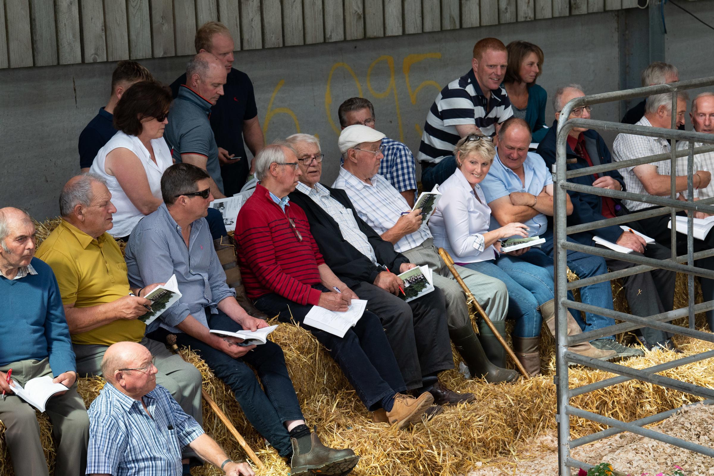 Spectators and buyers gathered to watch the Annandale dairy dispersal sale at Milton farm near Moffat this week Ref:RH240821028 Rob Haining / The Scottish Farmer...