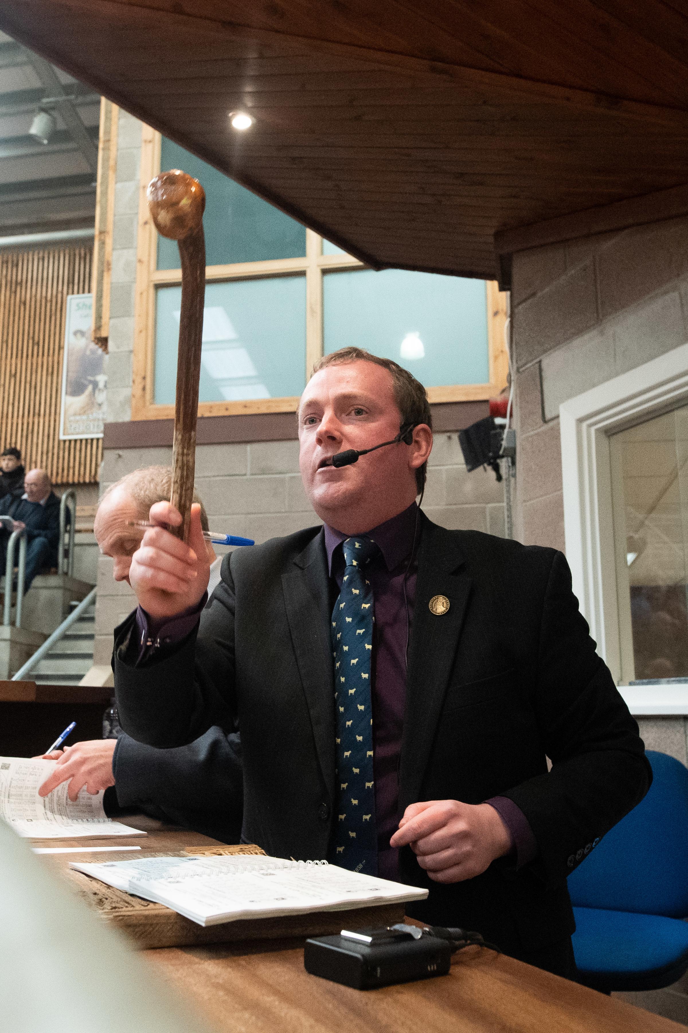 Auctioneer, Raymond Kennedy in action during the Simmental sale at Stirling in 2019 Ref:RH170220224 Rob Haining / The Scottish Farmer