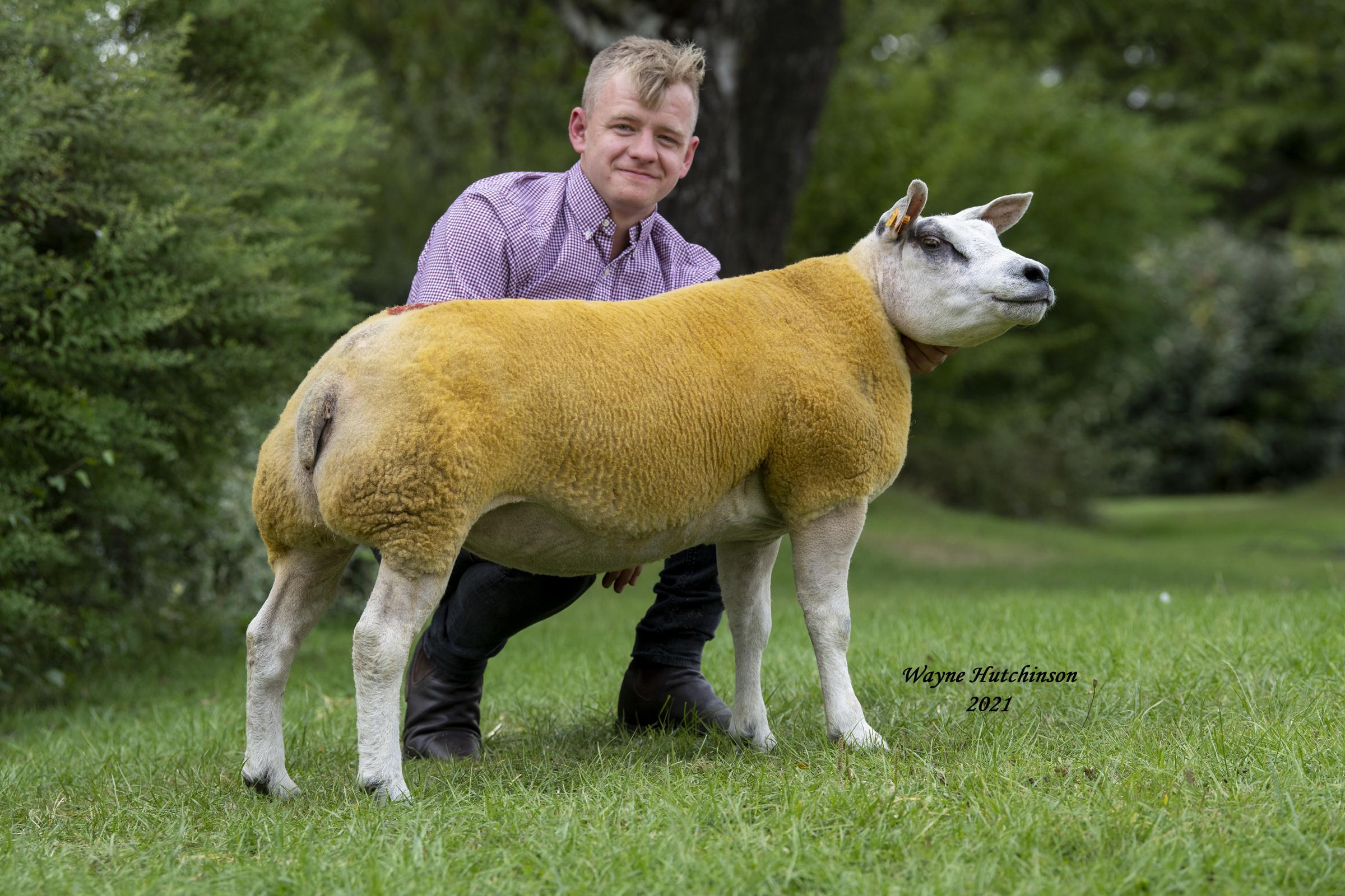 Setting a new female breed record was Buckles Frisky when she achieved 15,000gns