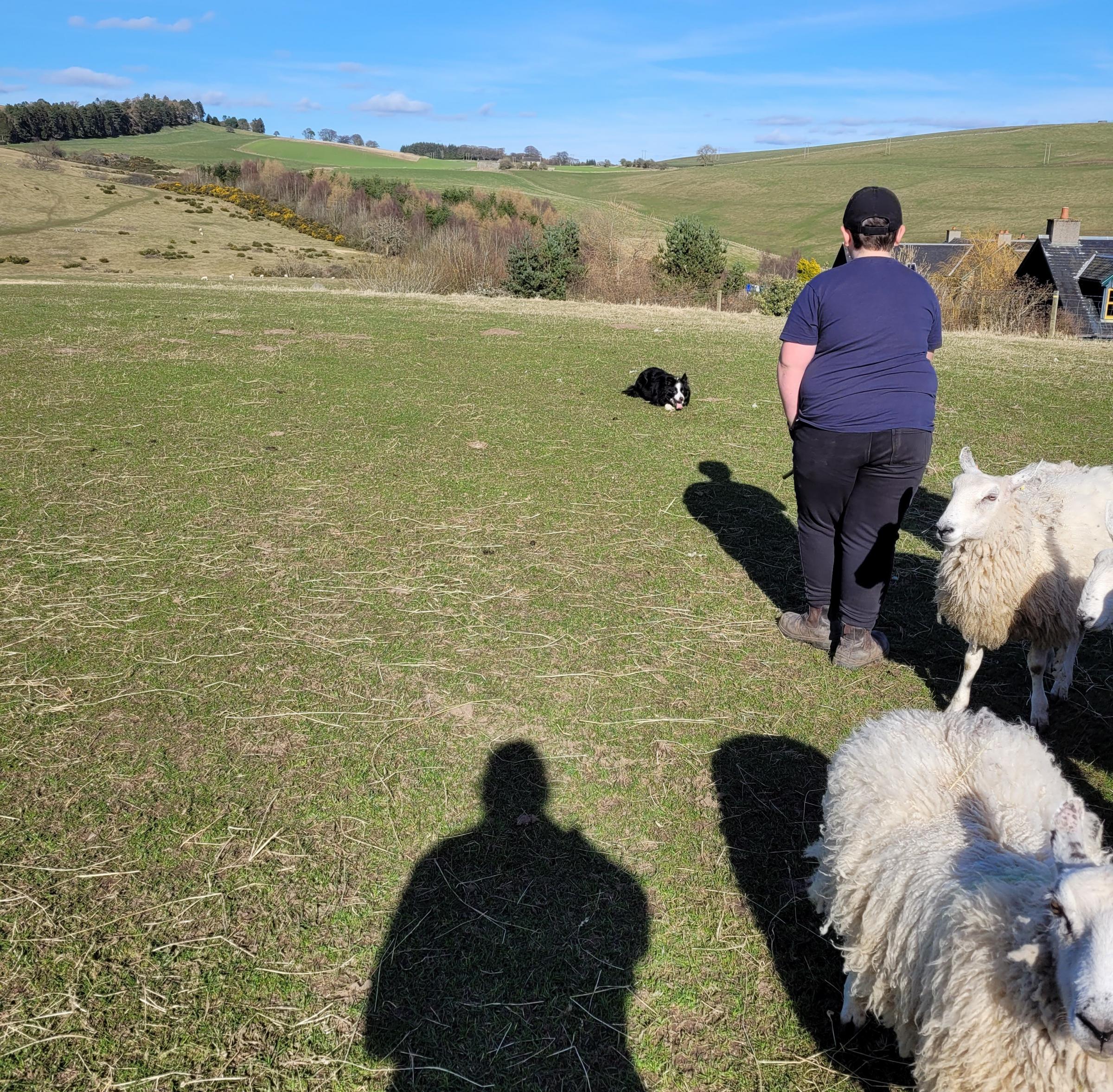 Lesley Kane: My 10-year-old son working Sky, his own collie