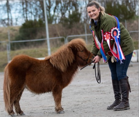 Supreme horse was the miniature Shetland, Milday India Jane, from Rachel Beattie 