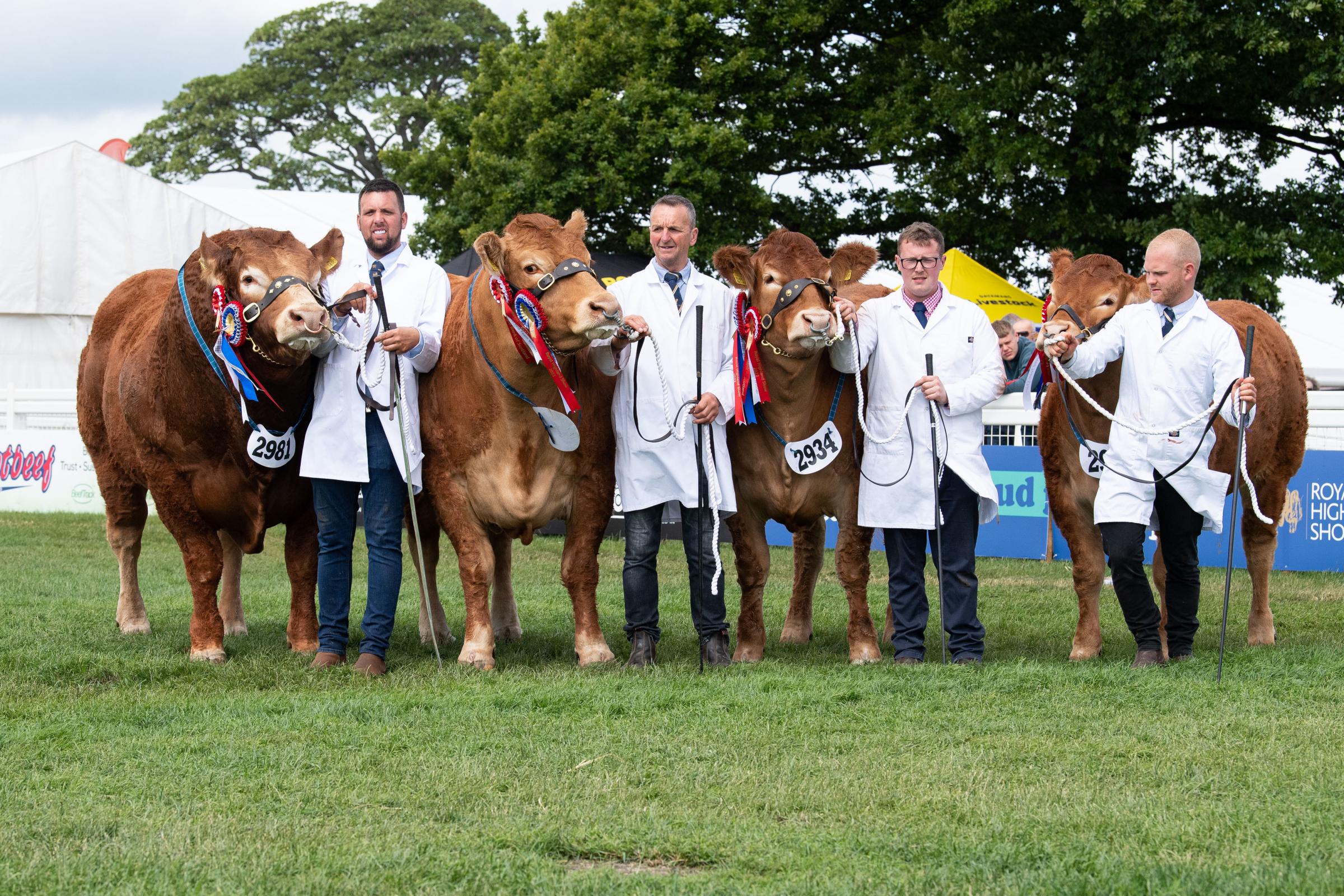 Inter-breed team champion went to the Limousins, Pabo Proctors, Whinfellpark Marilyn, Burnbank Ruby Tuesday, and Glenrock Redruby Ref:RH250622086 Rob Haining / The Scottish Farmer...