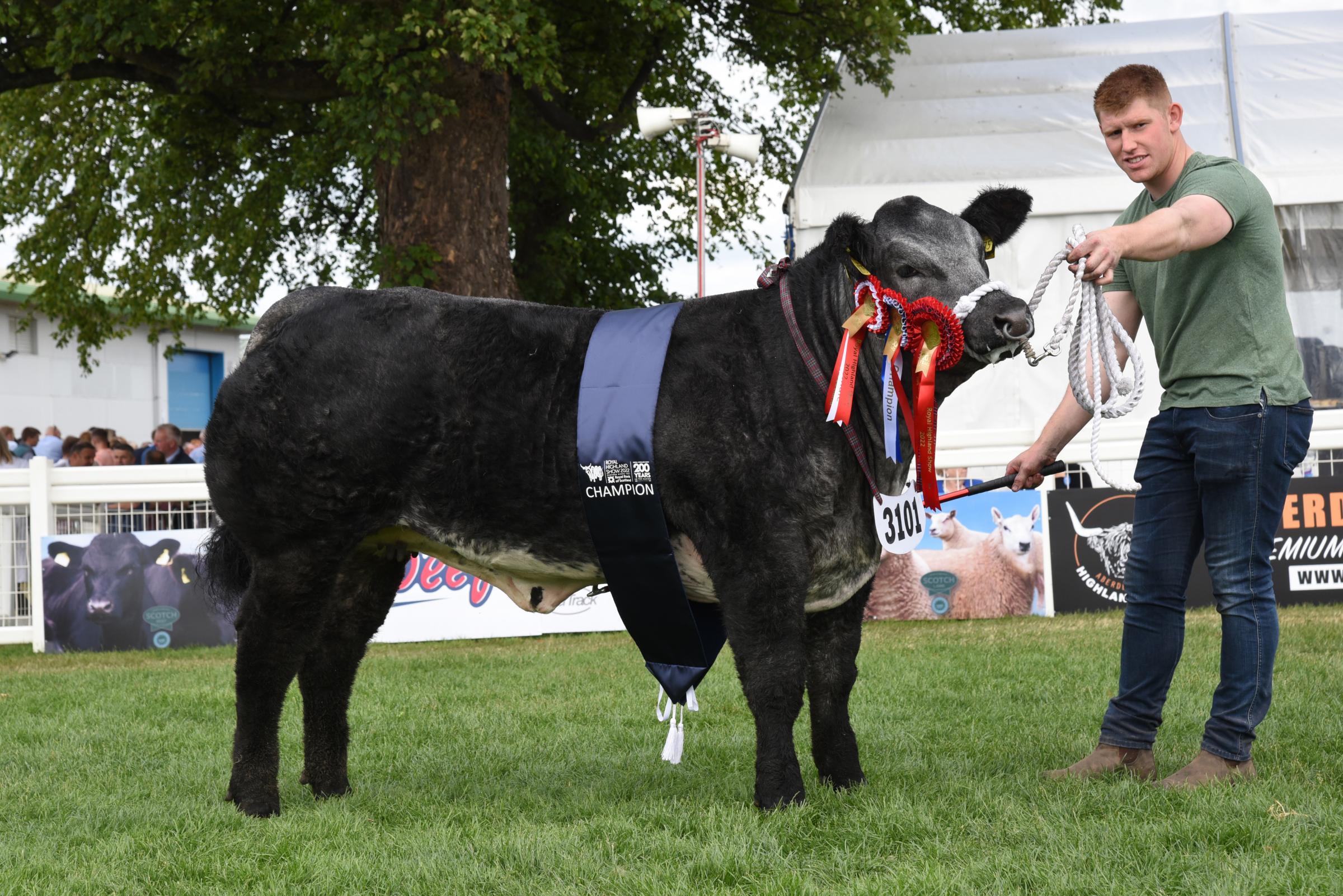 Fifty Shade of Grey from JCB Commercial team took the Commercial title Ref:RH230622054 Rob Haining / The Scottish Farmer...