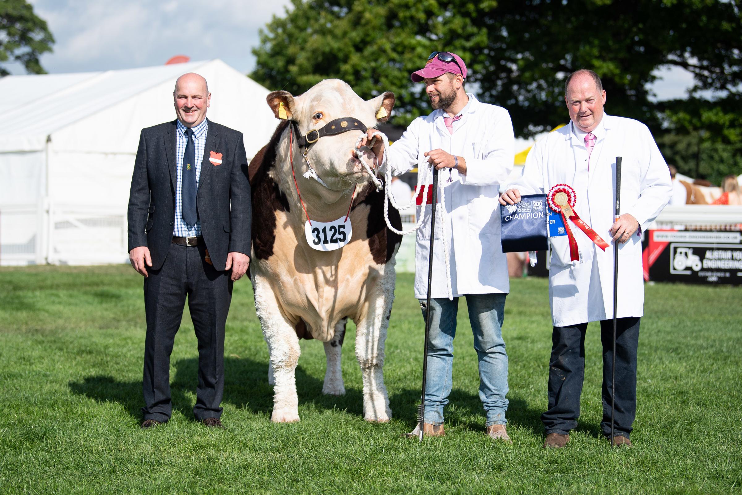 Champion Beefbreeder Native champion was Spartan 1 Typhoon from the Hartwrights Ref:RH240622072 Rob Haining / The Scottish Farmer...