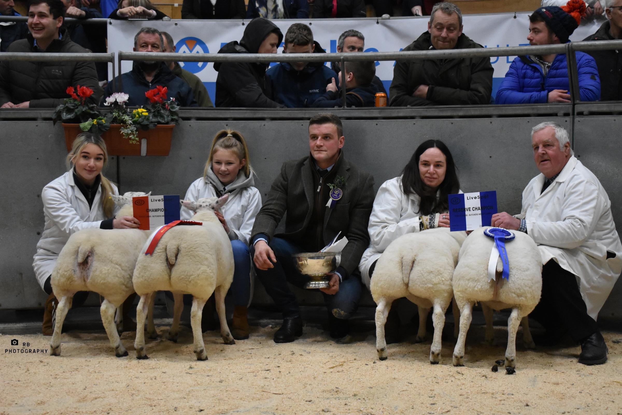 The final line up in the sheep last year 