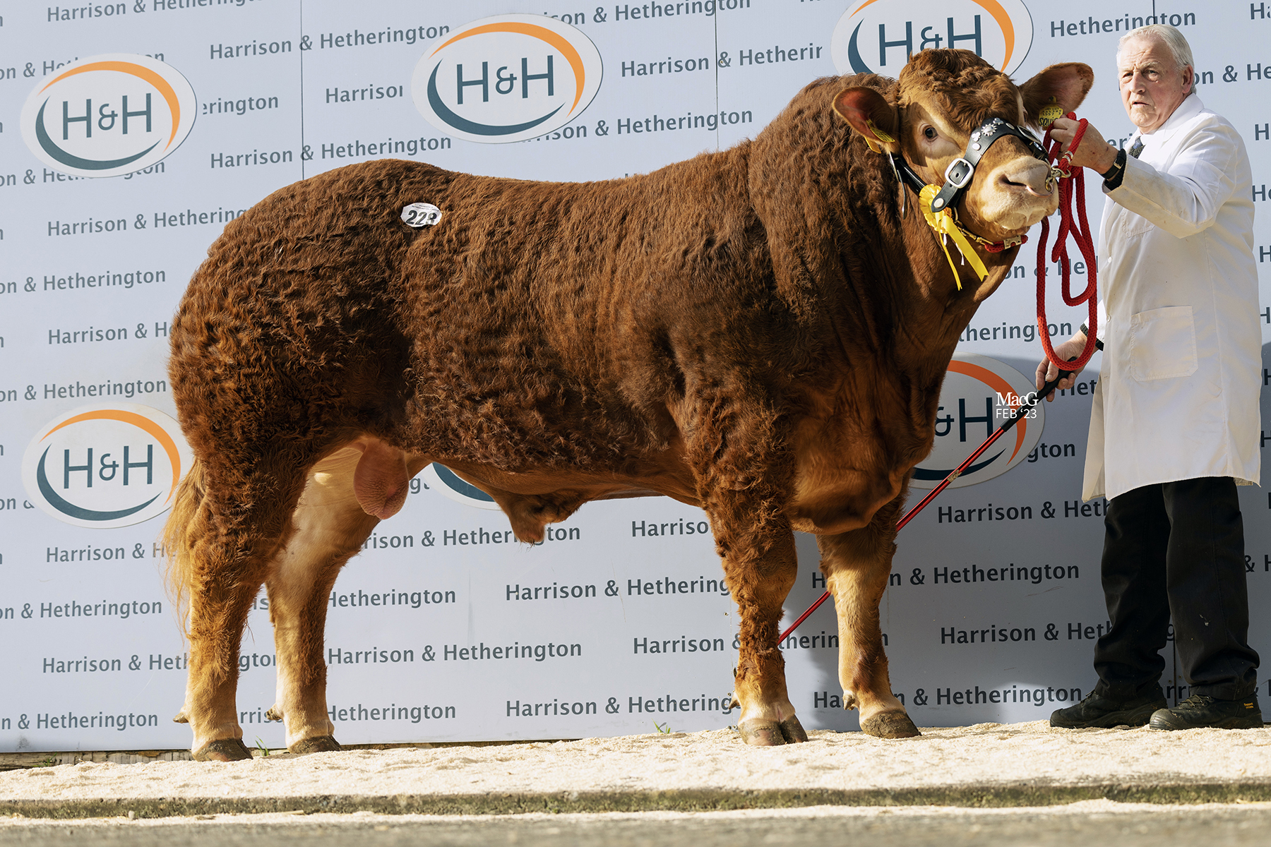 Another from Mr McKay, Ampertaine Squire made 20,000gns