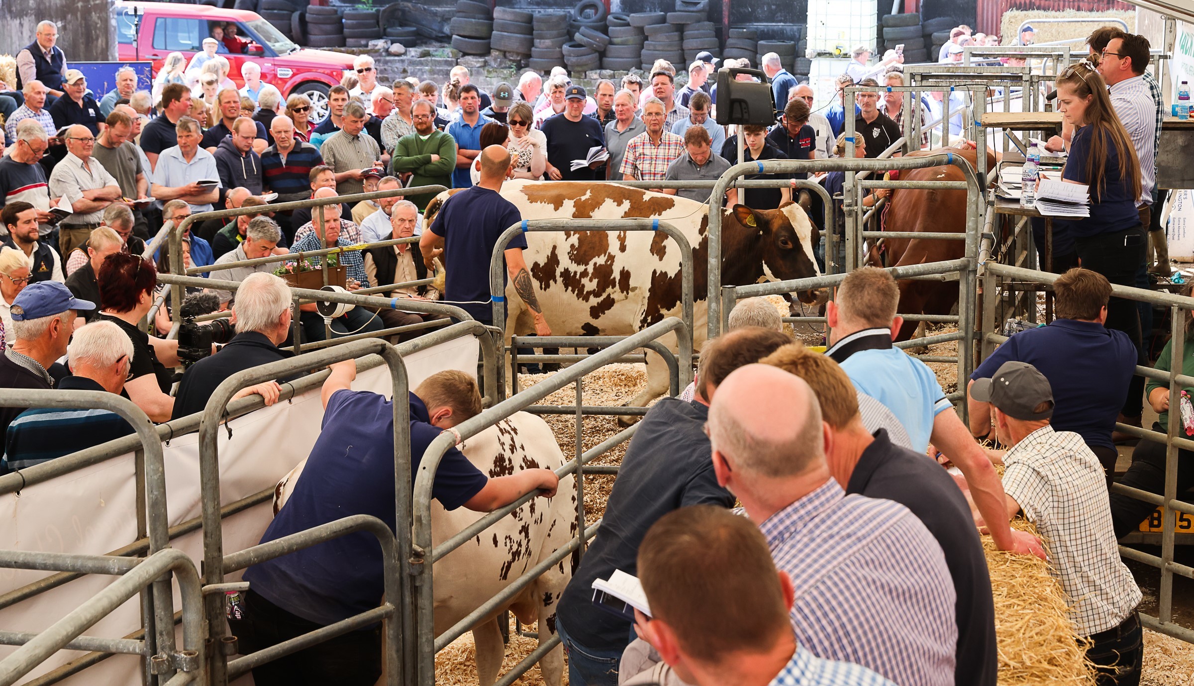 The on-farm sale at Sandyford was packed out from early morning right through to the last lot sold