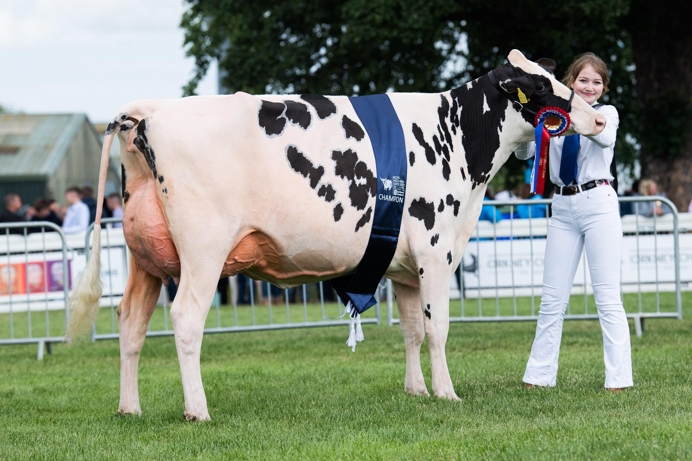 Junior inter-breed dairy champion was the from Steven Innes Ref:RH230623103 Rob Haining / The Scottish Farmer...
