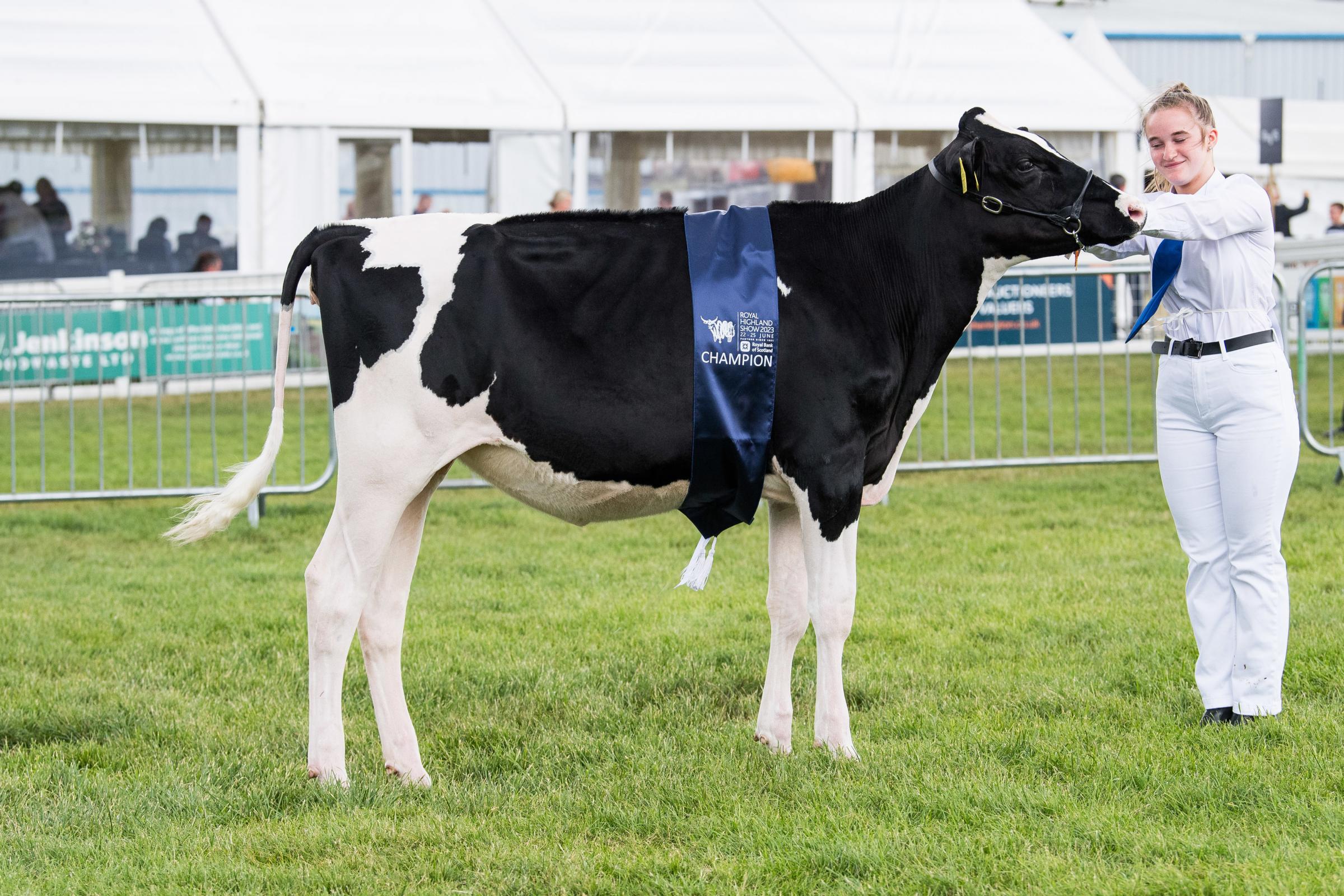 Champion Holstein calf was Muir Chief Ellie from the Watsons Ref:RH250623194 Rob Haining / The Scottish Farmer...