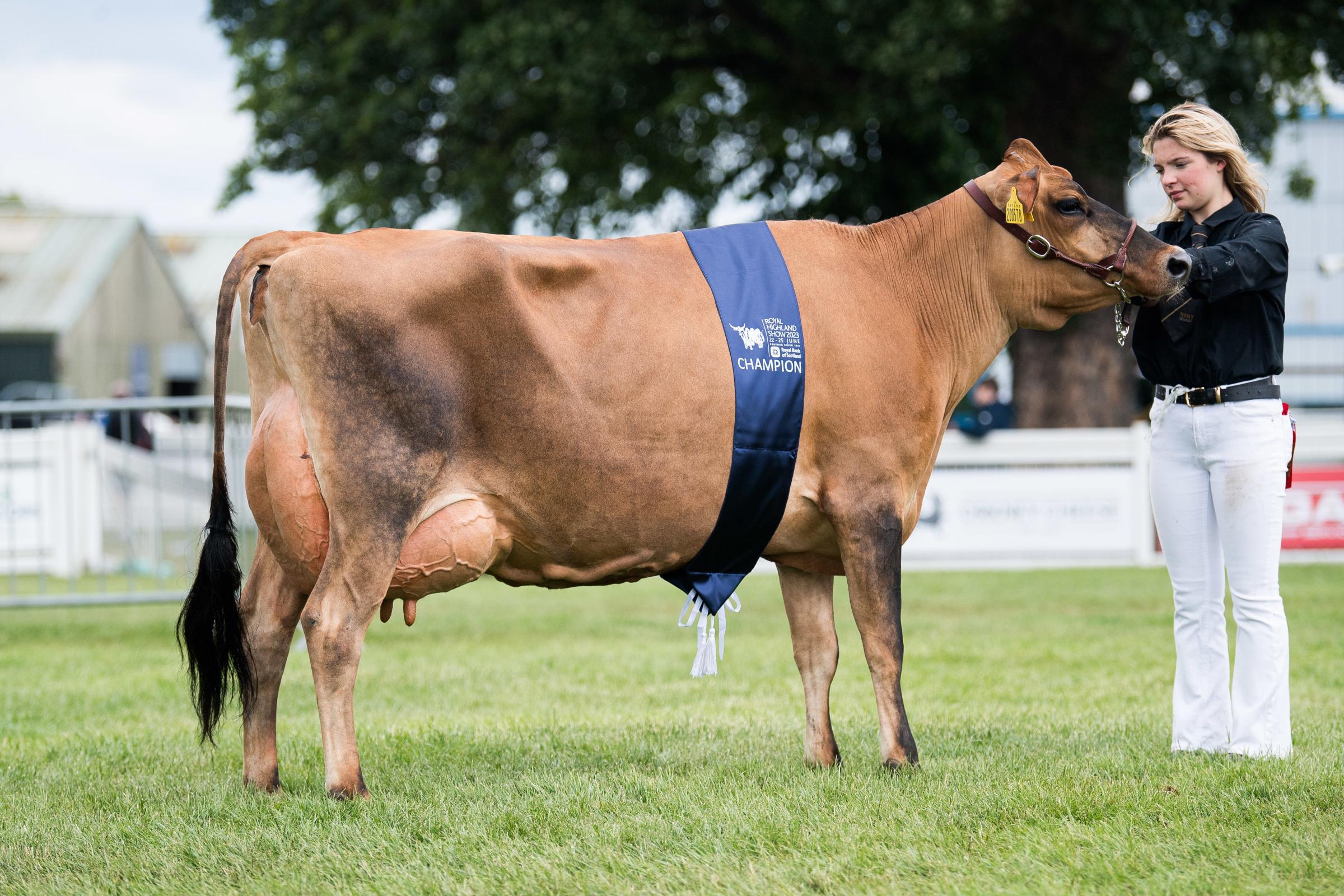 Cowhill Trust won the Jersey section Ref:RH230623106 Rob Haining / The Scottish Farmer...