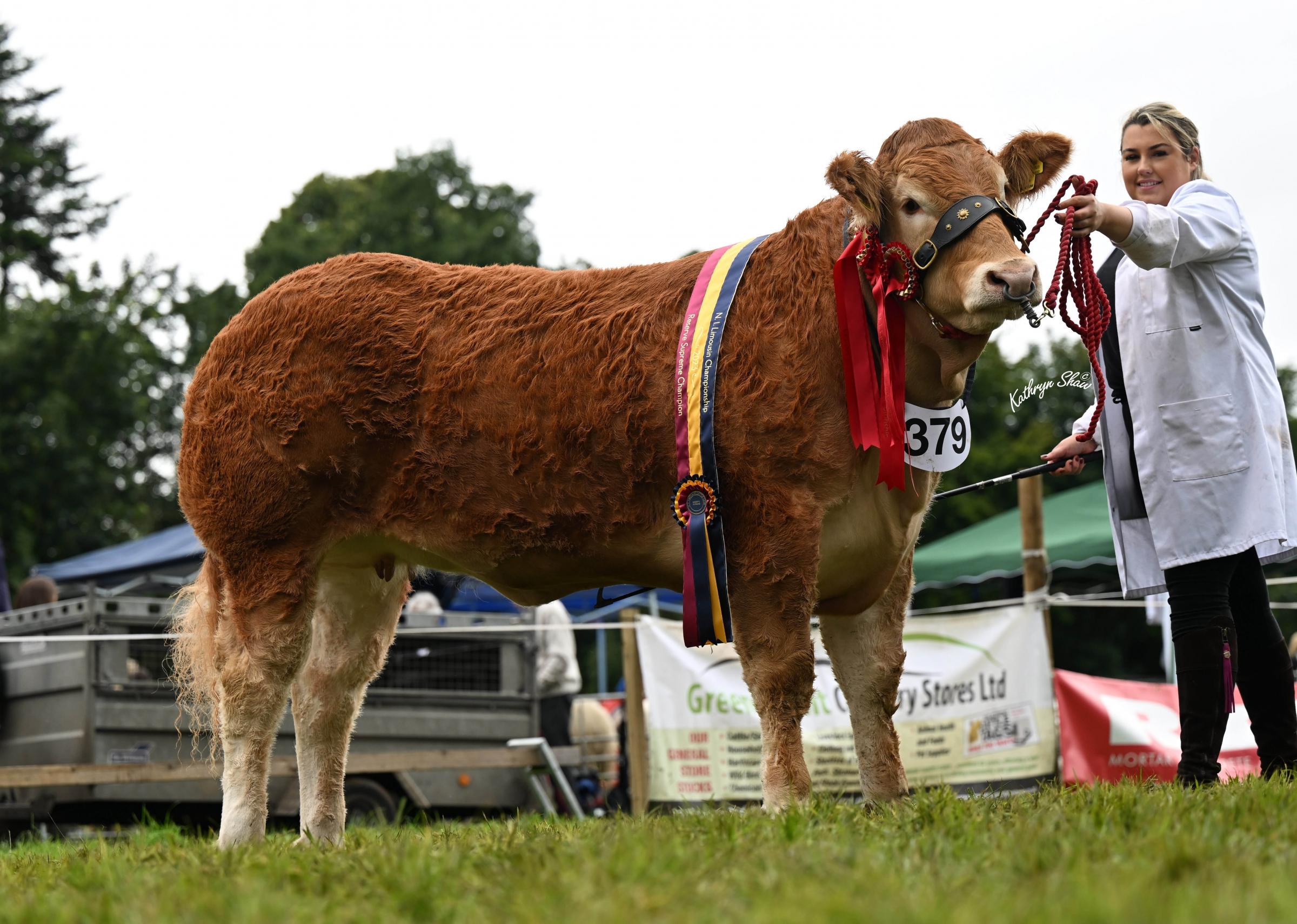 Reserve champion was the heifer, Dinmore Sensation 