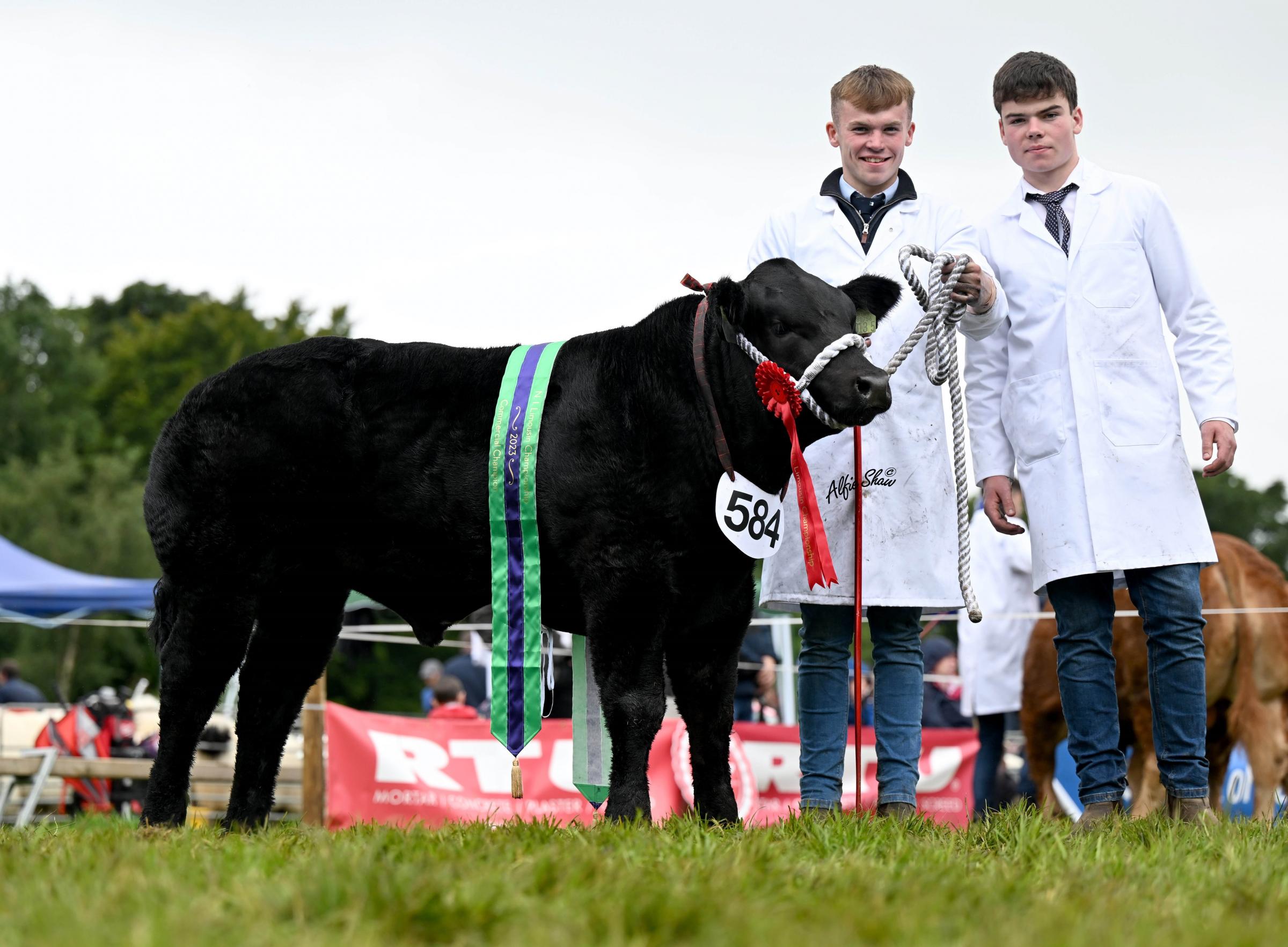 The commercial championship went to Zeus from Fergal Gormley 