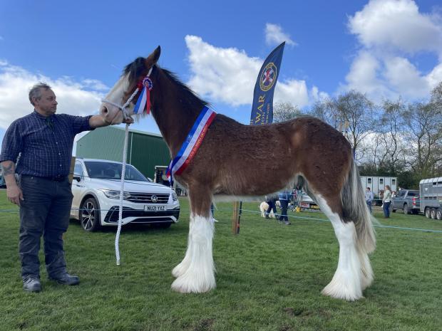 Kilmaurs Show