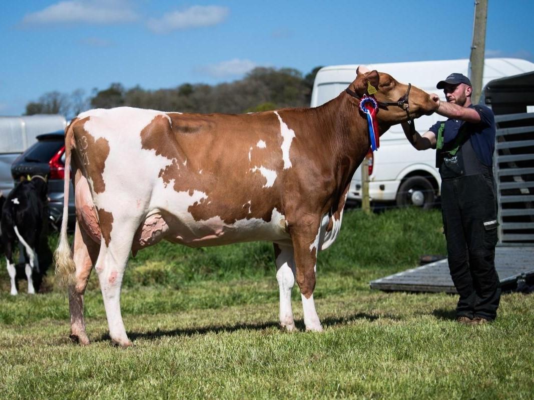 Ochiltree Show