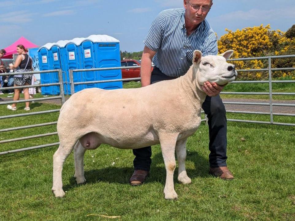 Kilmacolm Show