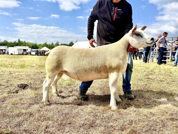 Lesmahagow Show