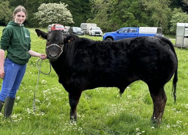 New Cumnock Show