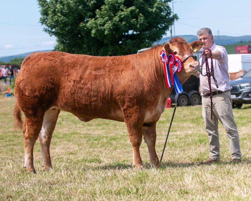 Campsie Show