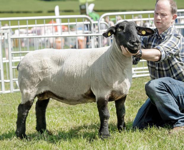 Central & West Fife Show