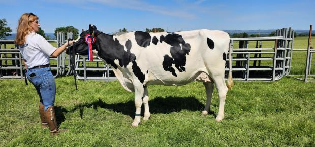 Gargunnock Show