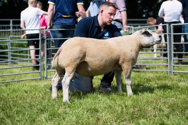 Newmilns Show