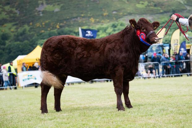 Stirling Show