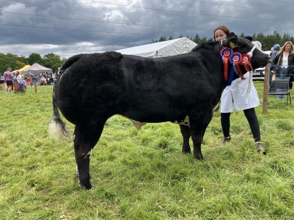 Kilbarchan Show