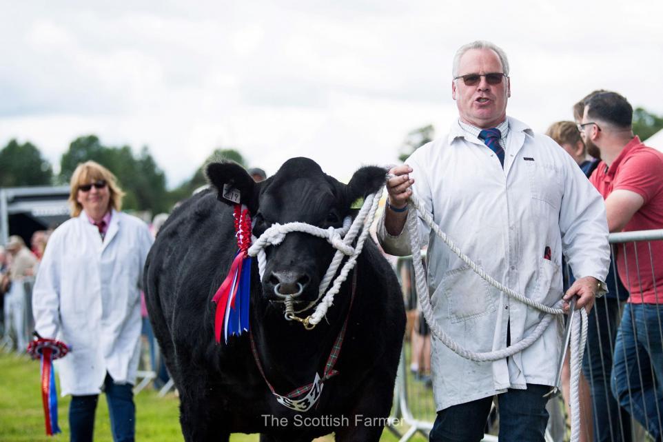 Doune & Dunblane Show