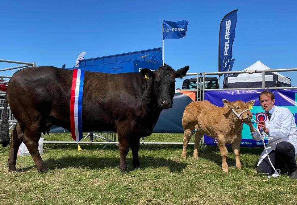 Haddington Show