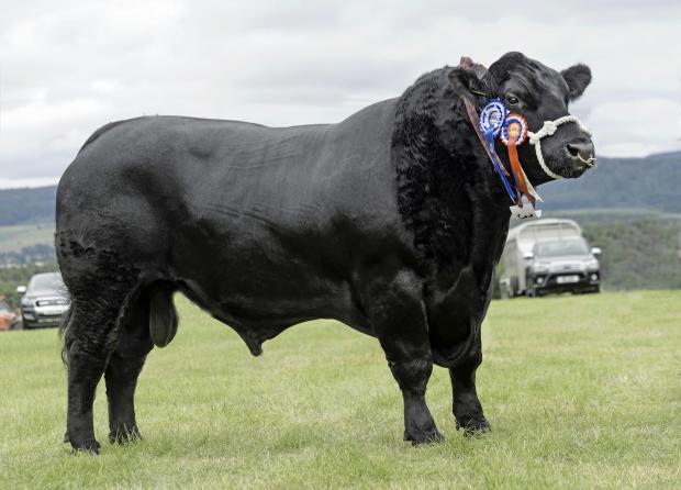 Kirriemuir Show