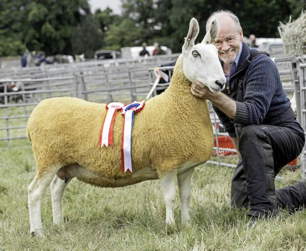 Fettercairn Show