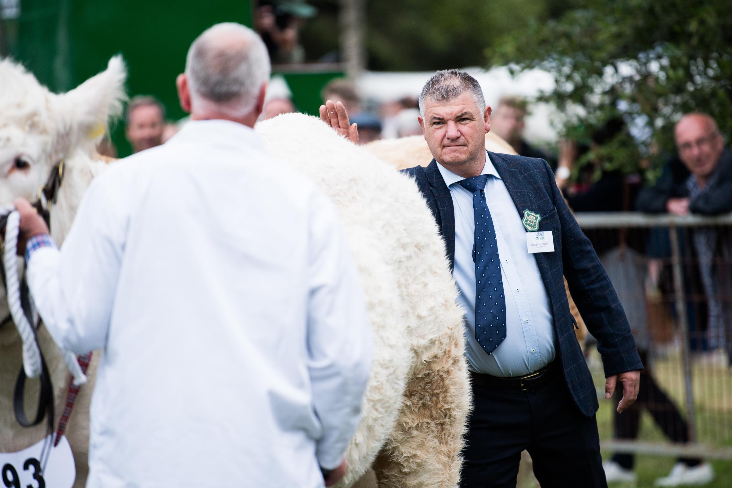 Judge Dougie McBeath taps out the Charolais as his overall cattle champion at Turriff show Ref:RH310723078 