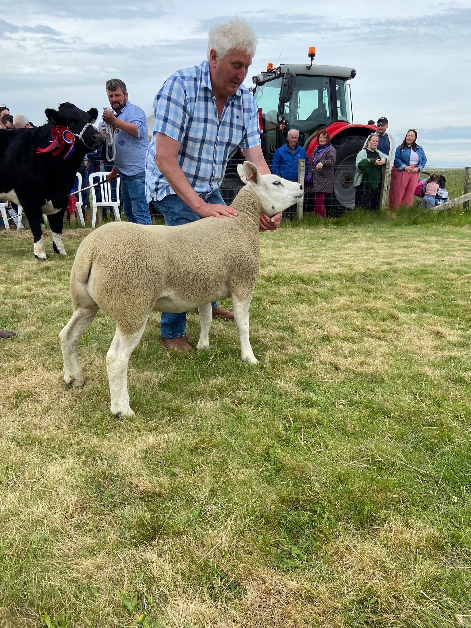 Supreme sheep came from A and I MacInnes