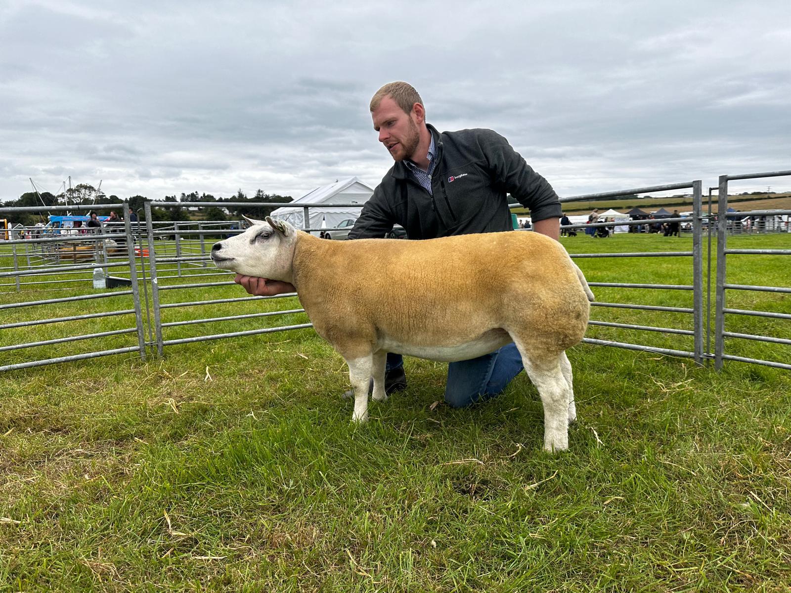 The Beltex winner from Daniel Hodge was reserve overall sheep