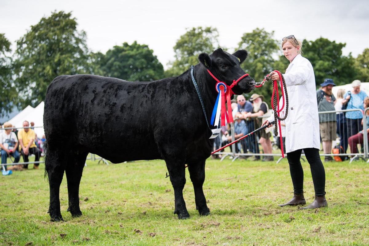 Biggar Show