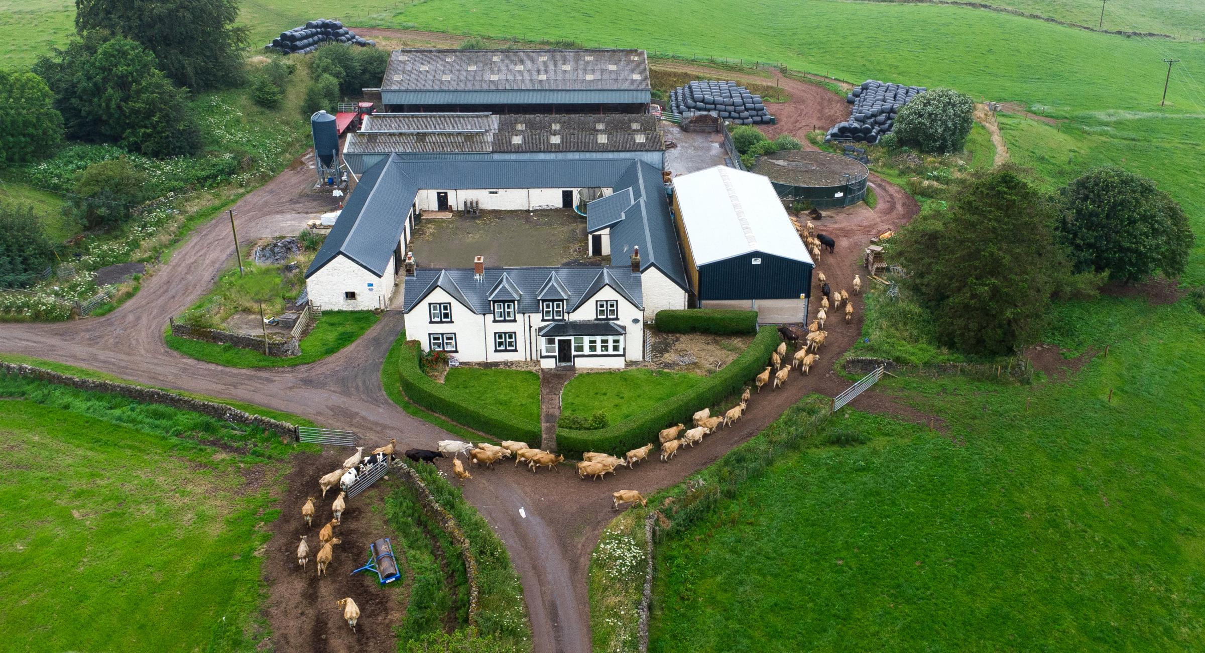 New Farm home to the Jardine family since 2019 Ref: RH180724060 Rob Haining / The Scottish Farmer...