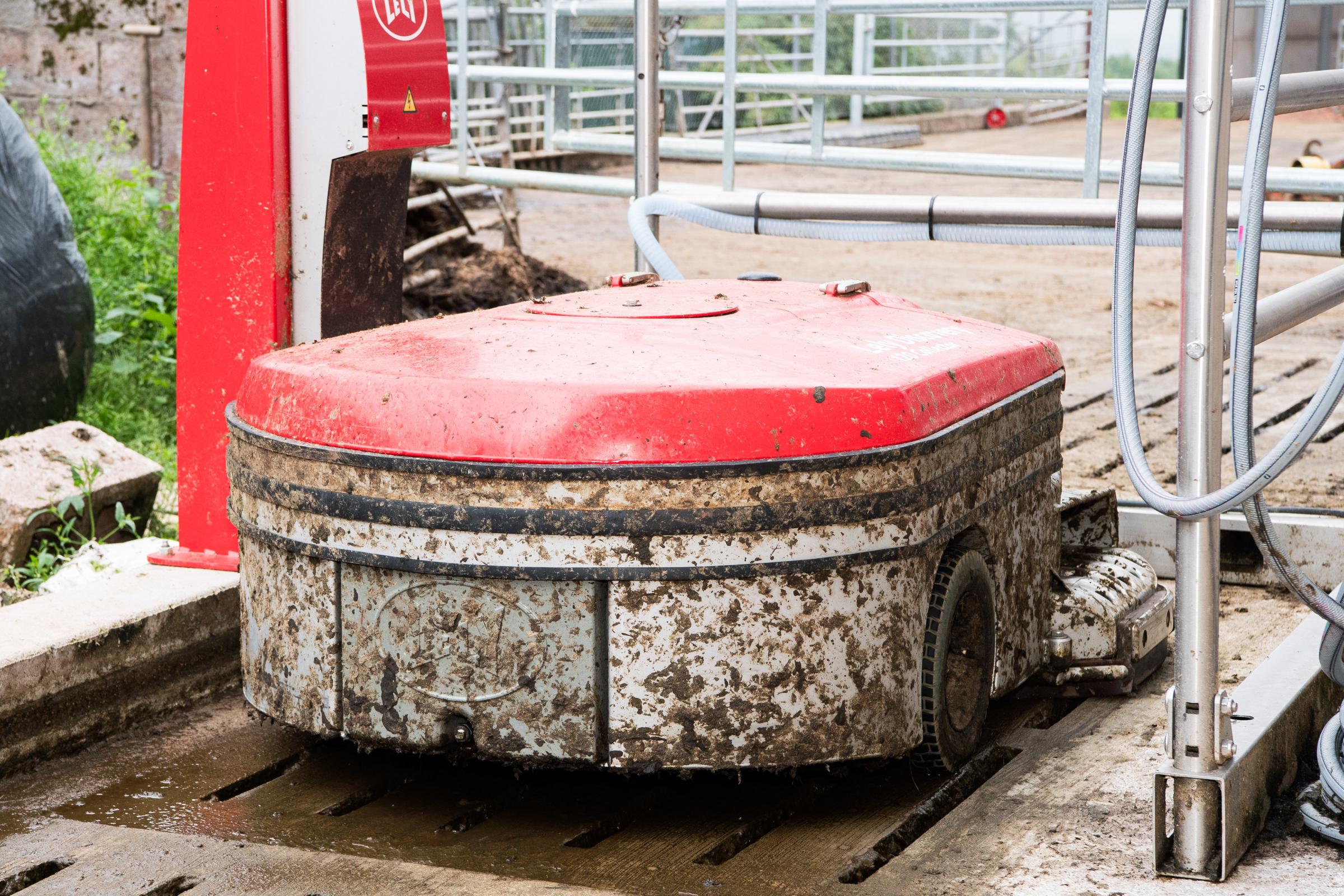 The Lely Discovery Collector is used in the shed to keep the floor clean Ref: RH180724048 Rob Haining / The Scottish Farmer...