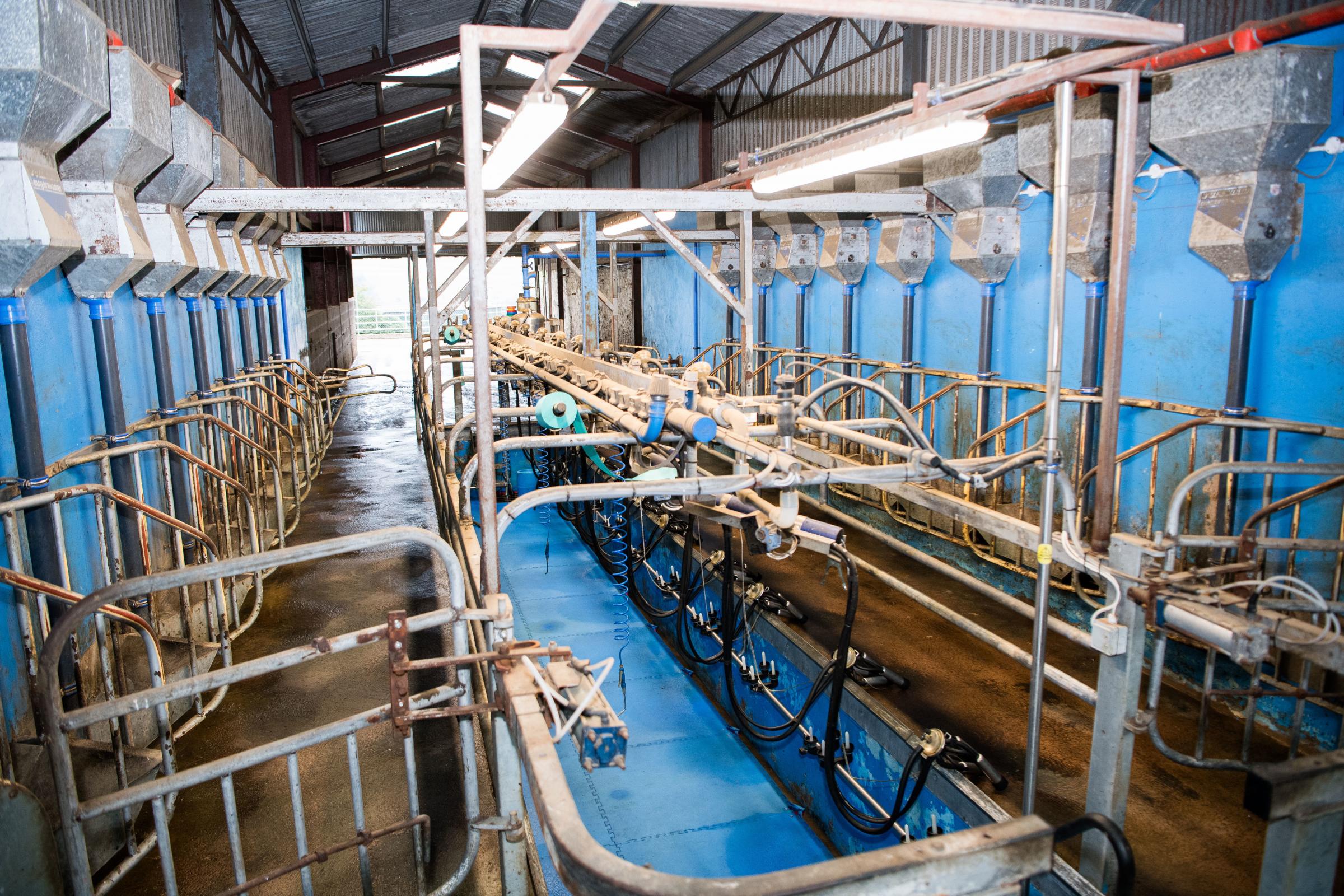 Herringbone 10 a side swing over parlour setup at New Farm Ref: RH180724045 Rob Haining / The Scottish Farmer...