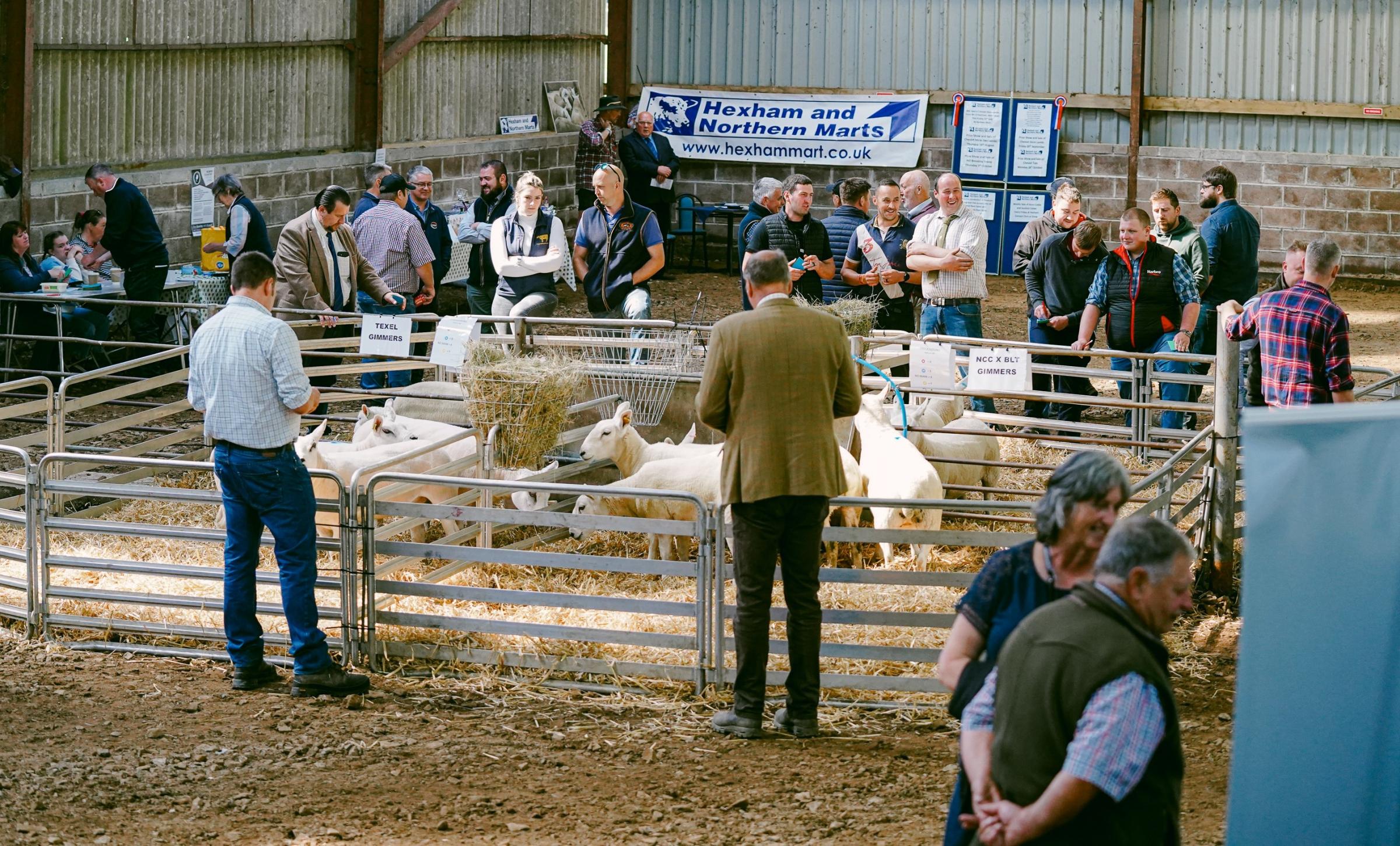 Various events and demonstrations took place on the day, to include a stockjuding, sheep trimming and charity auction