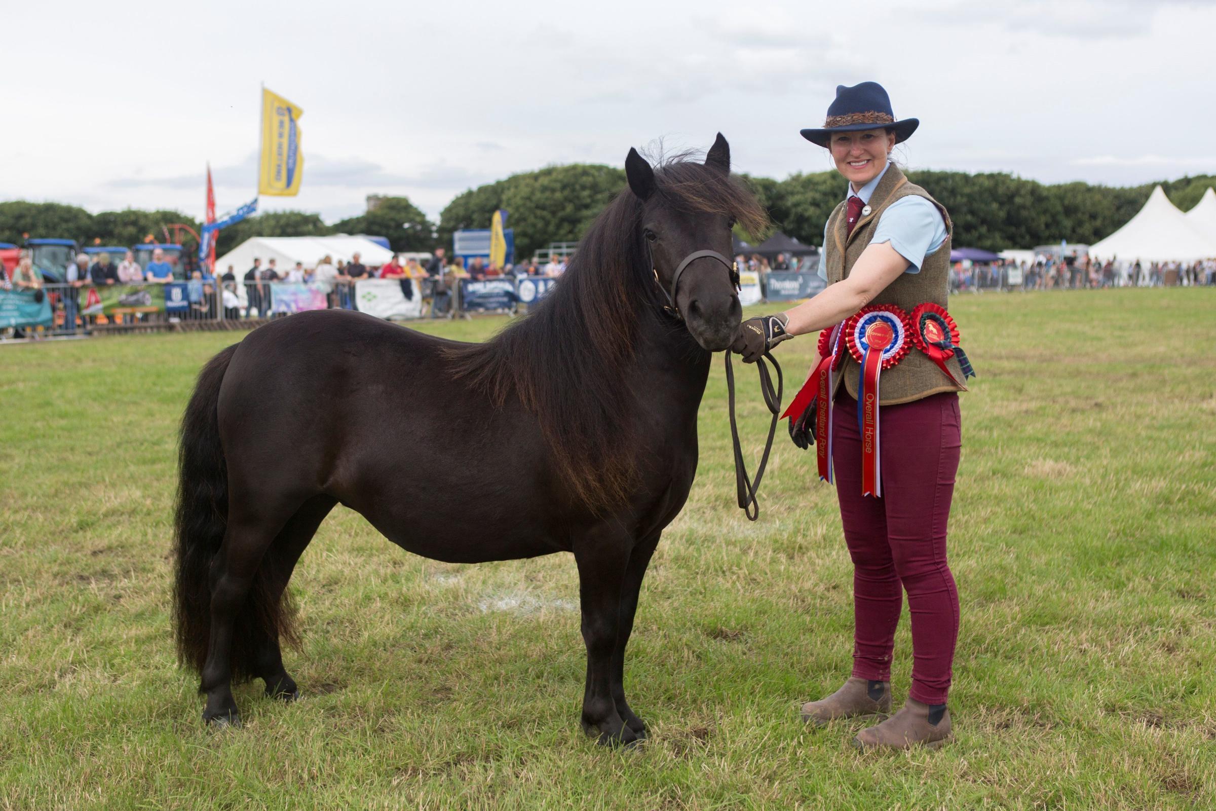 Supreme horse and reserve champion of champions was the Shetland pony, Hools Je Taime, from Kelly Peace, Hools Shetland Pony Stud