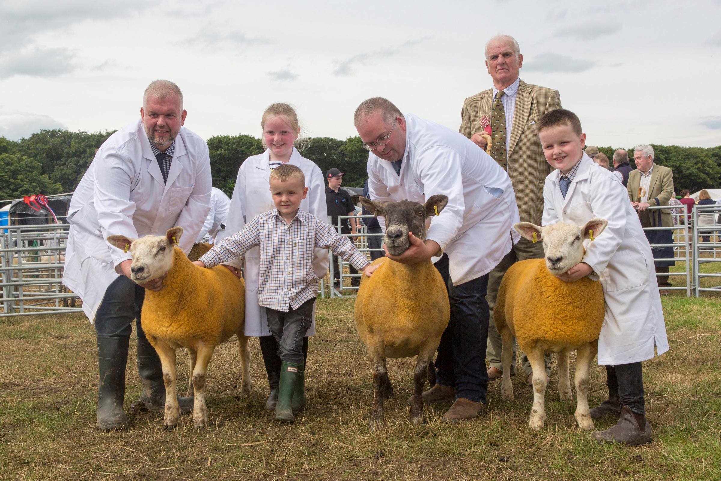 Supreme sheep were the commercial champions from three generations of the Sutherland family from Stainland and Sibmister Farms pictured are grand-father Kenneth, with from left, Kenneth, (jnr), Amy, Tom Stephen and Jack