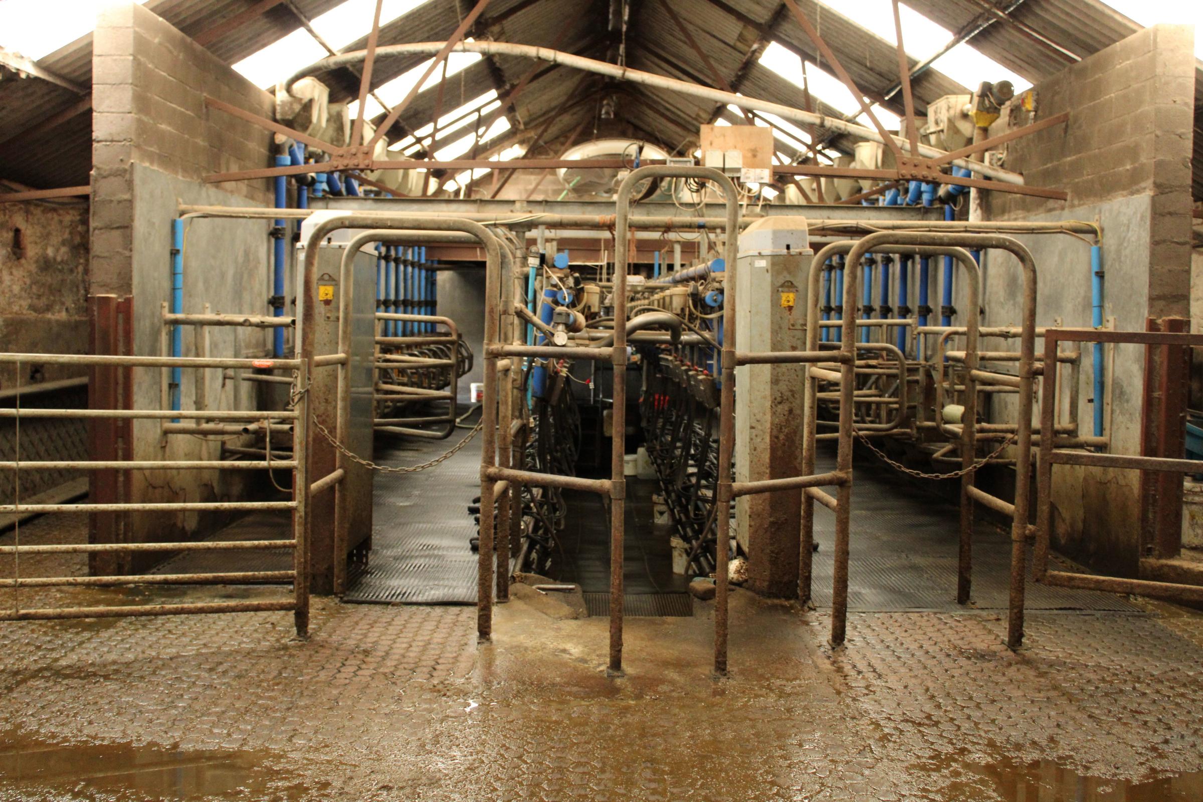 Robots were introduced to replace the old herringbone parlour which is still used