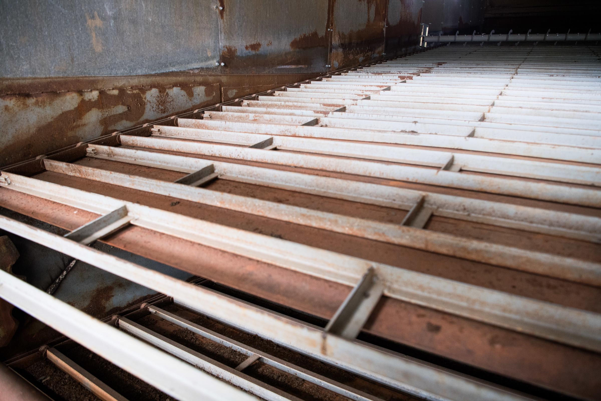 Conveyor inside the Alvan Blanch dryer Ref: RH040724242 Rob Haining / The Scottish Farmer...