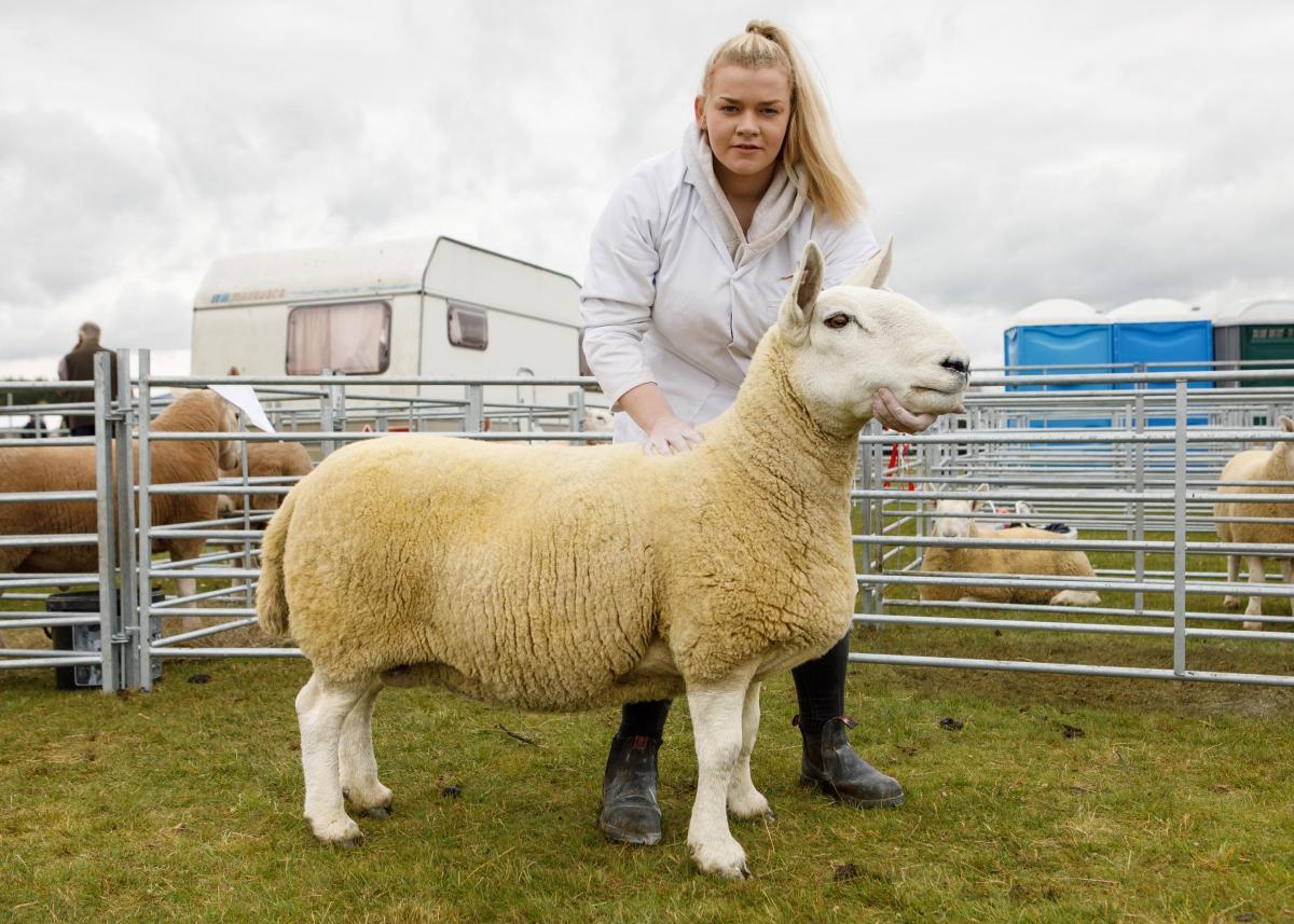 Sutherland Show