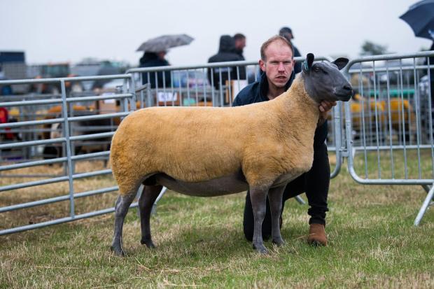 Banchory Show