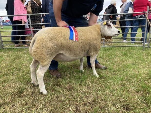 East Kilbride Show