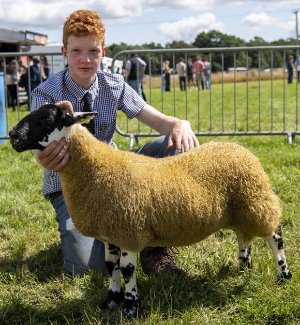 Stewartry Show