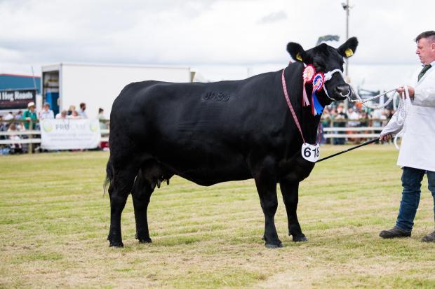 Black Isle Show