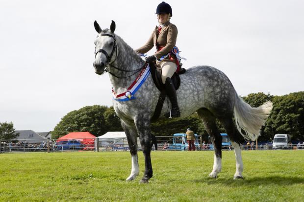 Orkney County Show