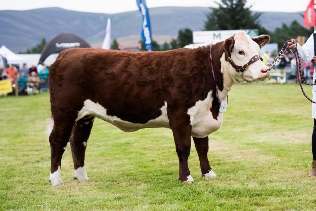 Grantown Show